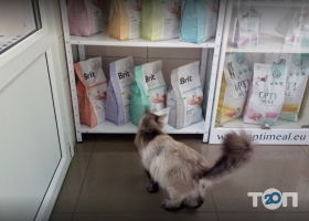 відгуки про Друг фото