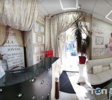 отзывы о Династия фото