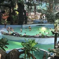 відгуки про Джунглі фото