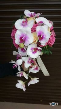 відгуки про Strelitzia-flowers фото