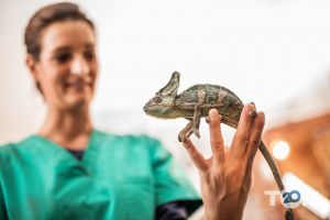 відгуки про Vet Friend фото