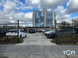 YO Auto, автомобілі з Канади та США фото