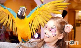 відгуки про Feast Every Day фото