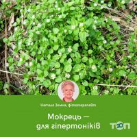 компания Зеленая Планета Земной на ул. Яновского фото