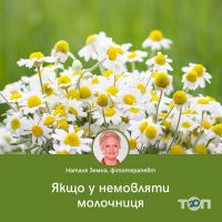 Зеленая Планета Земной на ул. Яновского Кропивницкий отзывы фото