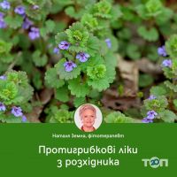 Здравница Наталии Земной Зубицкой - фото 8