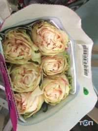 відгуки про Florum Flos фото