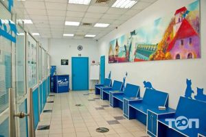 Французька ветеринарна клініка відгуки фото