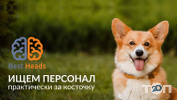 Best Heads, рекрутингове агентство Best Heads, рекрутингове агентство фото