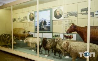 Херсонский областной краеведческий музей Херсон фото