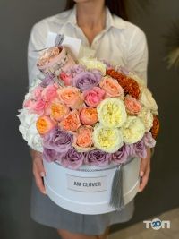 відгуки про I am Clover фото