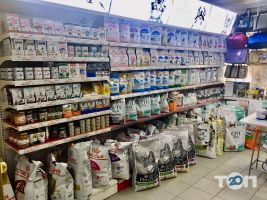 Хелсик, ветеринарная клиника фото