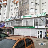 Стемма, стоматология фото