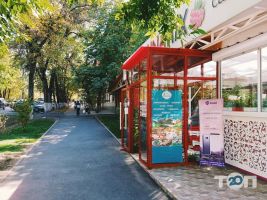 Малина Mix, кафе фото