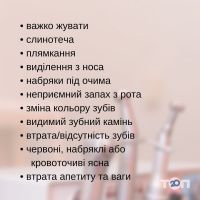 Ветеринарные клиники Innovet фото