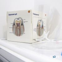 отзывы о КС доктора Колоса фото