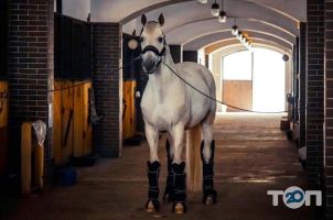 отзывы о Тамерлан фото