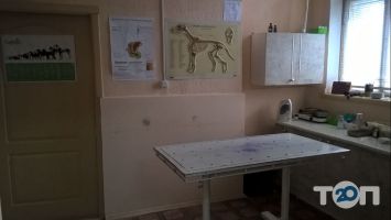 Ветеринарные клиники Кот и Пес фото