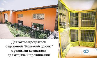 Зоохоббі Київ відгуки Зоохоббі Київ відгуки фото