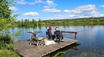 Крымок Житомир фото