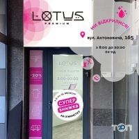 Lotus Premium Київ фото