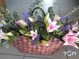 Люба Флора Житомир Люба Флора Житомир фото