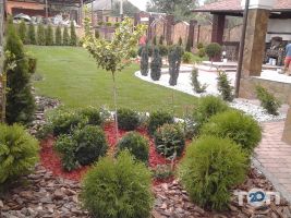 отзывы о MidasStone фото