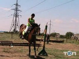 відгуки про Мінтака фото