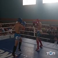 Мангуст Київ фото