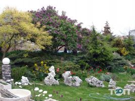 відгуки про Наутілус фото