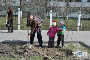 Лінія кіно Київ фото