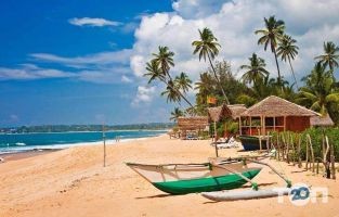 відгуки про Ok Travel Agency фото