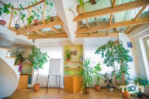 отзывы о Орион фото