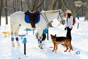 Парк культури і відпочинку ім. М. Горького Одеса фото