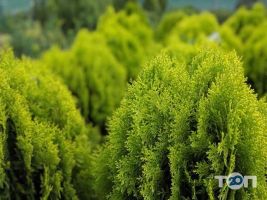 Краевид Винница отзывы фото