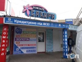 Сакура Чернівці фото