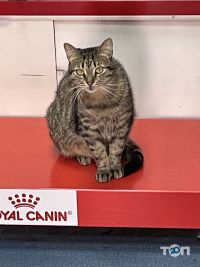 Vet Friend відгуки фото