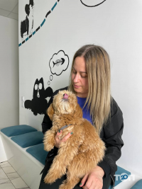 Animal Clinic, ветеринарний центр - фото 8