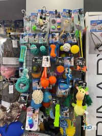 відгуки про Zoo Room фото