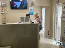 відгуки про Віді Дент фото