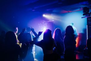 отзывы о LUDVIG фото