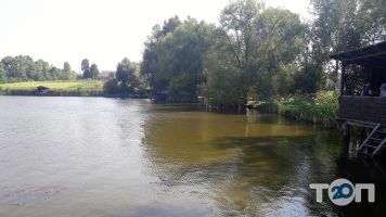 отзывы о Поплавок фото