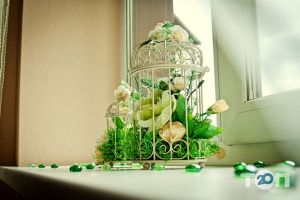 Прованс відгуки Прованс відгуки фото