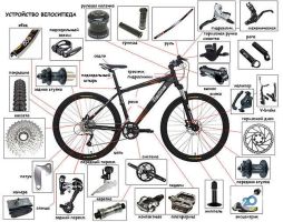 Мототехніка, велосипеди Велодоктор фото