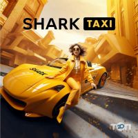 Shark taxi отзывы фото