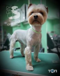 відгуки про СимпотяЖка фото