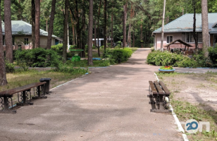 Дитячі табори та санаторії Супутник фото