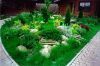 DreamyGarden Тернополь DreamyGarden Тернополь фото