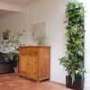 Обустройство приусадебного участка DreamyGarden Обустройство приусадебного участка DreamyGarden фото