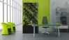 DreamyGarden отзывы DreamyGarden отзывы фото